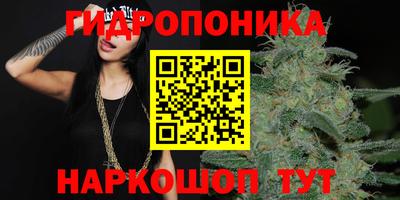 apvp Канаш