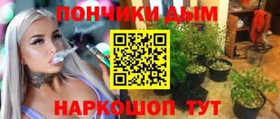 apvp Канаш