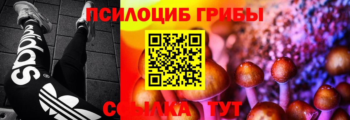 Галлюциногенные грибы Psilocybe Валуйки